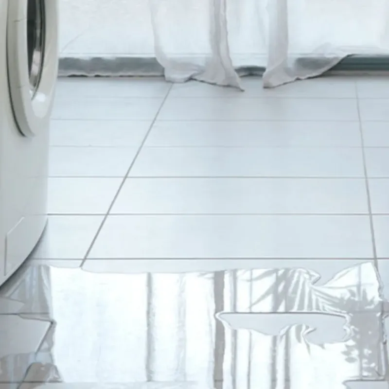Appliance Leak Cleanup in Chattahoochee, FL