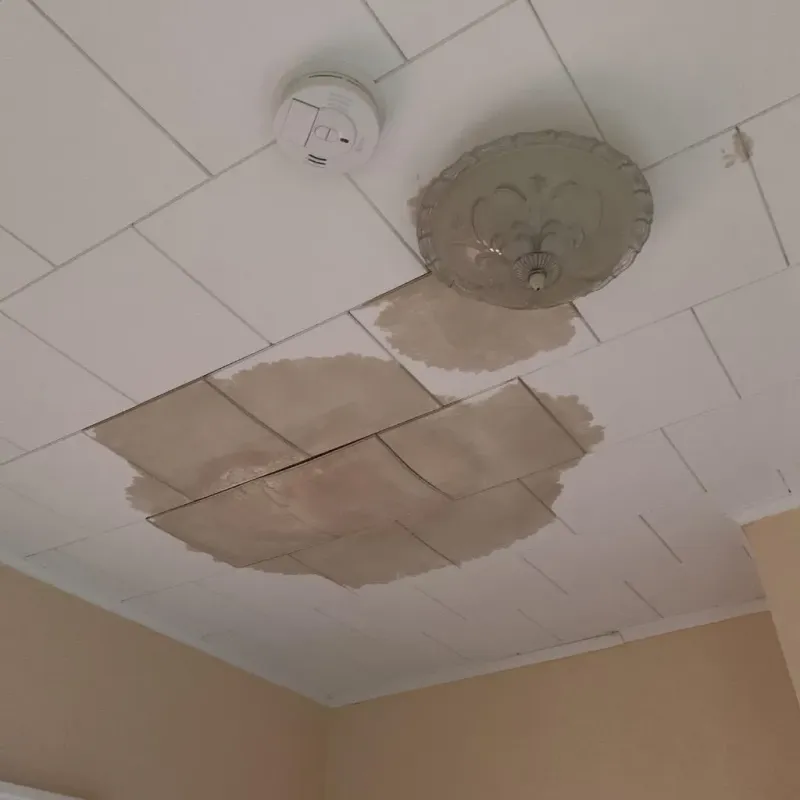 Ceiling Water Damage Repair in Chattahoochee, FL
