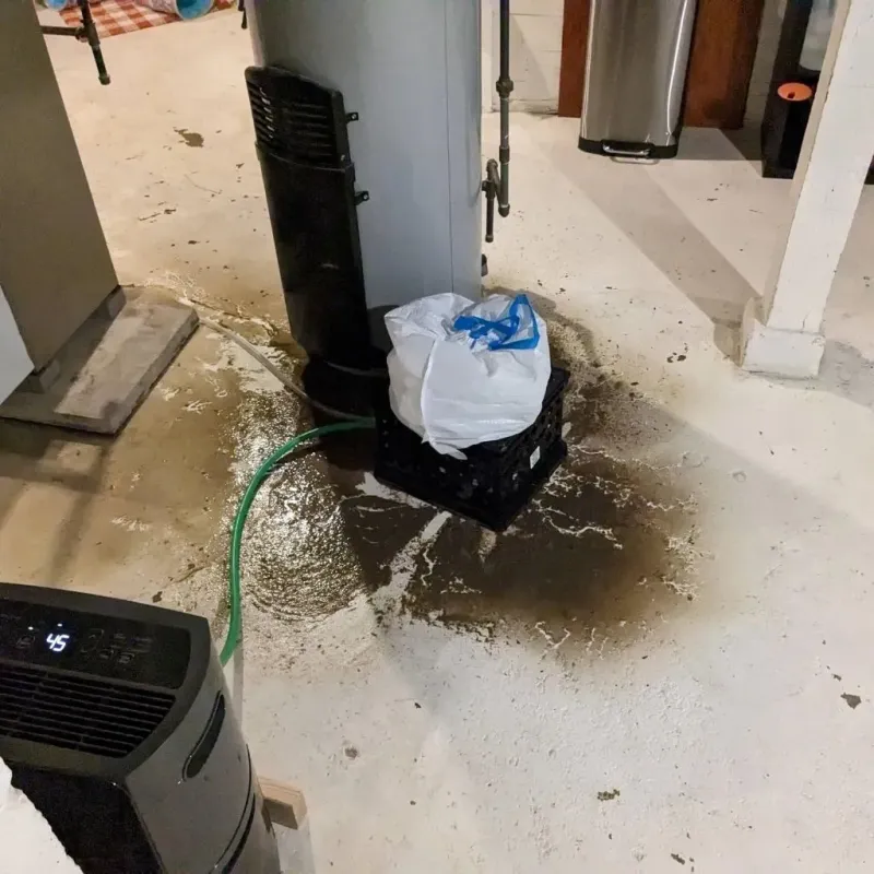 Sewage Backup Cleanup Service in Chattahoochee, FL